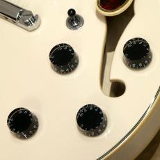 D'Angelico Premier Series SS, Champagne_8