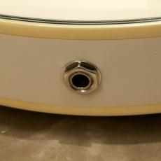 D'Angelico Premier Series SS, Champagne_10