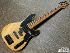 SCHECTER MODEL-T SESSION 5 [AD-MT-SS-5]【希少なTLベース5弦!】