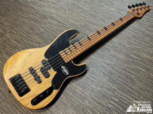 SCHECTER MODEL-T SESSION 5 [AD-MT-SS-5]【希少なTLベース5弦!】