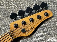 SCHECTER MODEL-T SESSION 5 [AD-MT-SS-5]【希少なTLベース5弦!】_4