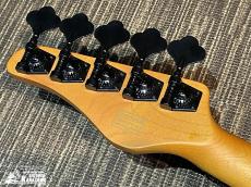 SCHECTER MODEL-T SESSION 5 [AD-MT-SS-5]【希少なTLベース5弦!】_5