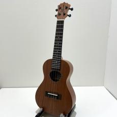 Koalana KCA-10SP CON_2
