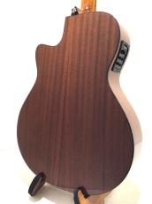 Morris R-1 NAT -Performers Edition-_5