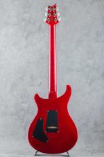 Paul Reed Smith [PRS] Wood Library Custom 24 10Top Ruby Japan Exclusive 2026 S/N:0426712_5