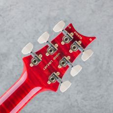 Paul Reed Smith [PRS] Wood Library Custom 24 10Top Ruby Japan Exclusive 2026 S/N:0426712_9