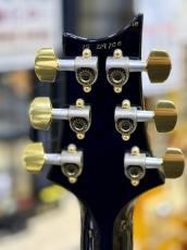 Paul Reed Smith [PRS] Custom 24 10Top 30th Anniversary【3.31Kg】【中古】_5