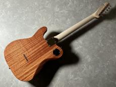 Moon Reggae Master DX - Zebrawood & Gold Hardware　【特別カスタムオーダーモデル】_8