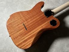 Moon Reggae Master DX - Zebrawood & Gold Hardware　【特別カスタムオーダーモデル】_9