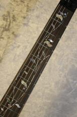 Ibanez 【激杢個体】j-Custom Axe Design Lab RG8870 Solalite【重量/3.75kg】【SPOT MODEL】_3