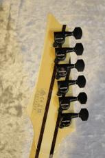 Ibanez 【激杢個体】j-Custom Axe Design Lab RG8870 Solalite【重量/3.75kg】【SPOT MODEL】_9