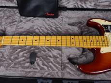 Fender American Professional II Stratocaster HSS Sienna Sunburst_4