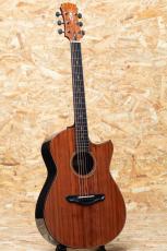 FUJII GUITARS × OGAWA INLAY CRAFT OOcw -MIKI 200th Anniversary-_3