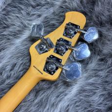 Sterling by MUSIC MAN RAY24CA Toluka Lake Blue_9