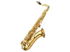 YANAGISAWA テナーサックス T-WO1