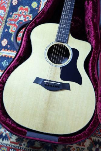 Taylor 【ベストセラーモデル】214ce Plus #2206026382【最大48回無金利】