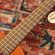 Gretsch G9112 Resonator-Ukulele with Gig Bag, Ovangkol Fingerboard, Biscuit Cone 【アウトレット特価】_5
