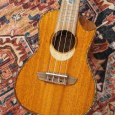 ORTEGA ECLIPSE-CC4 Concert / Custom Built Series【アウトレット特価】