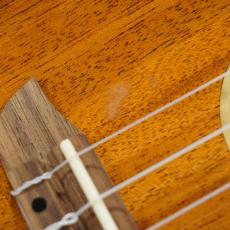 ORTEGA ECLIPSE-CC4 Concert / Custom Built Series【アウトレット特価】_10