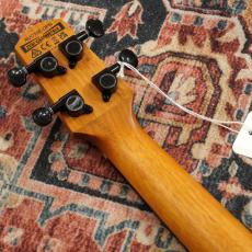 Ibanez AUC10E-OPN (Open Pore Natural) 【特価】【スポット品】【コンサートサイズ・ウクレレ】_6