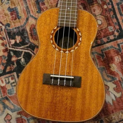 DCT DUC-600M Concert