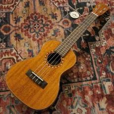 DCT DUC-600M Concert_2