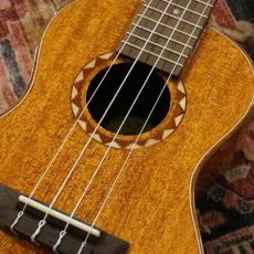 DCT DUC-600M Concert_3
