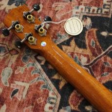 DCT DUC-600M Concert_6