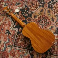 DCT DUC-600M Concert_7