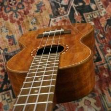 DCT DUC-600M Concert_9