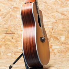 Taylor 214ce RW Special Edition Honeyburst_4