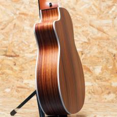 Taylor 214ce RW Special Edition Honeyburst_5