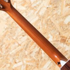 Taylor 214ce RW Special Edition Honeyburst_7