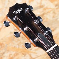 Taylor 214ce RW Special Edition Honeyburst_8