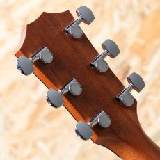 Taylor 214ce RW Special Edition Honeyburst_9