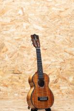 Kamaka HF-2 D2I Concert 2020_3