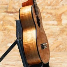 Kamaka HF-2 D2I Concert 2020_4