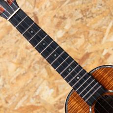 Kamaka HF-2 D2I Concert 2020_6
