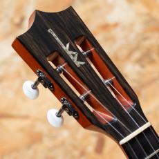 Kamaka HF-2 D2I Concert 2020_8