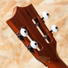 Kamaka HF-2 D2I Concert 2020_9