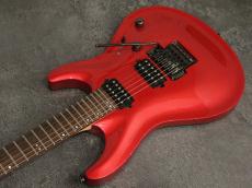 FUJIGEN Elan SEL-BS-DL HH 2007_5