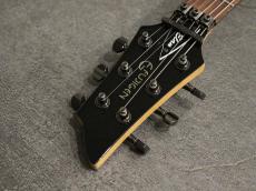FUJIGEN Elan SEL-BS-DL HH 2007_7