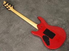 FUJIGEN Elan SEL-BS-DL HH 2007_8