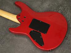 FUJIGEN Elan SEL-BS-DL HH 2007_9