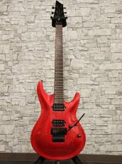 FUJIGEN Elan SEL-BS-DL HH 2007_10