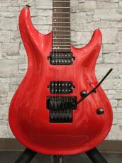 FUJIGEN Elan SEL-BS-DL HH 2007_11