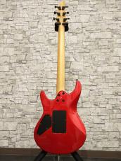 FUJIGEN Elan SEL-BS-DL HH 2007_12