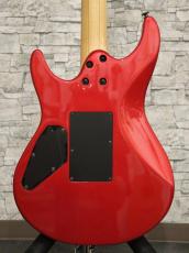 FUJIGEN Elan SEL-BS-DL HH 2007_13