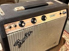 Fender 【Vintage】Champ Silver Face 1979年製【G-CLUB TOKYO】_3