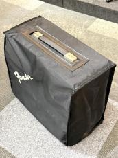 Fender 【Vintage】Champ Silver Face 1979年製【G-CLUB TOKYO】_11